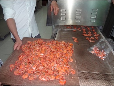 對蝦微波烘烤設備