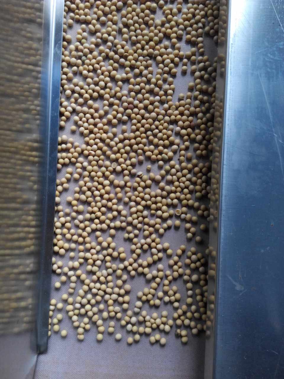 微波烘焙設(shè)備