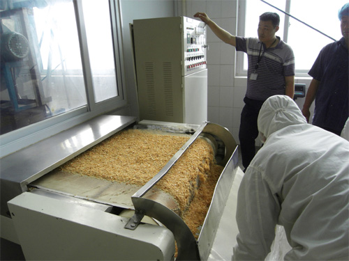 核桃粉微波殺菌機(jī)