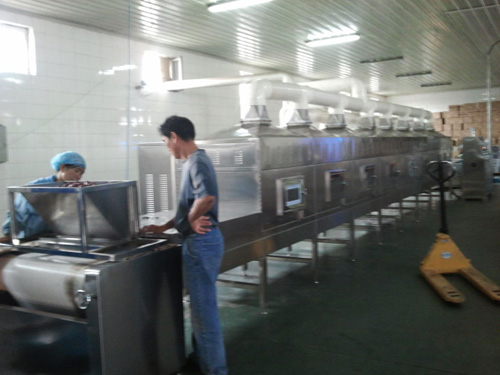 魷魚(yú)絲微波烘干殺菌機(jī)