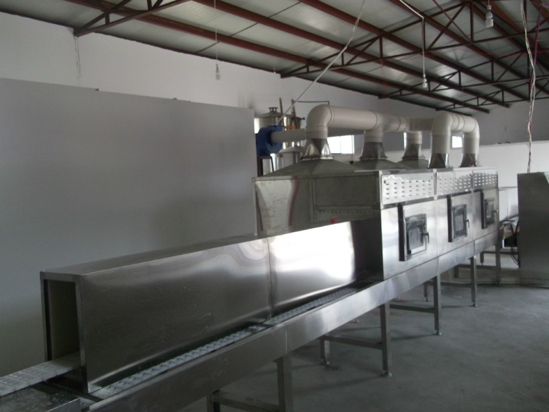 粽子微波殺菌機(jī)