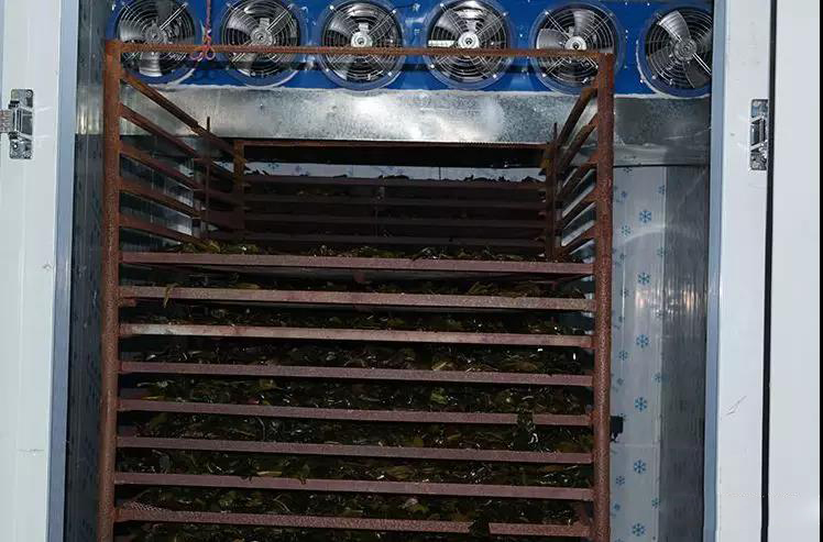 海帶熱泵烘干機(jī)